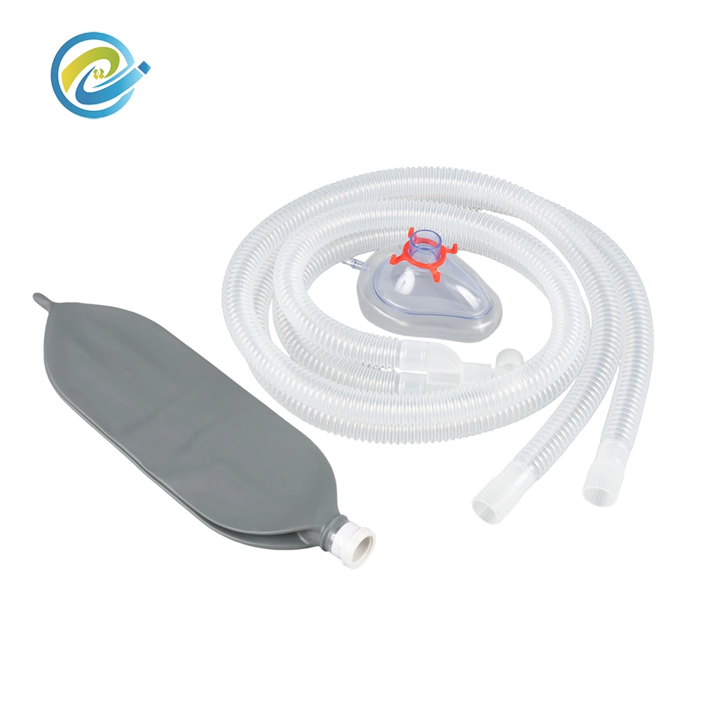 Anesthesia Breathing Circuit